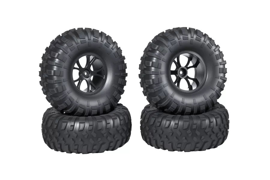 Dettagli del prodotto