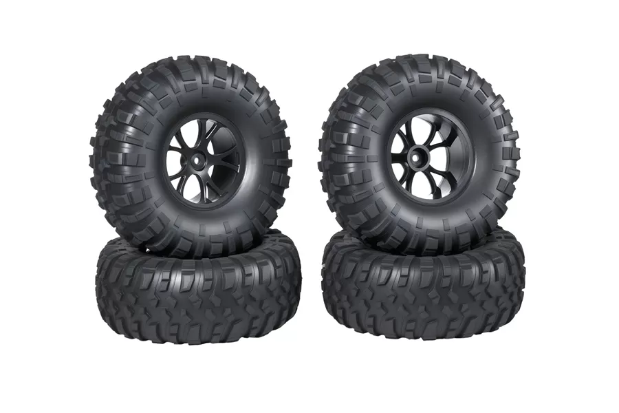 Dettagli del prodotto