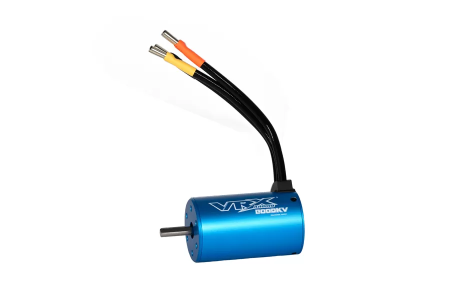 Dettagli del prodotto