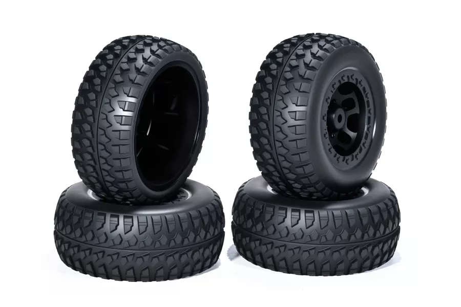 Dettagli del prodotto